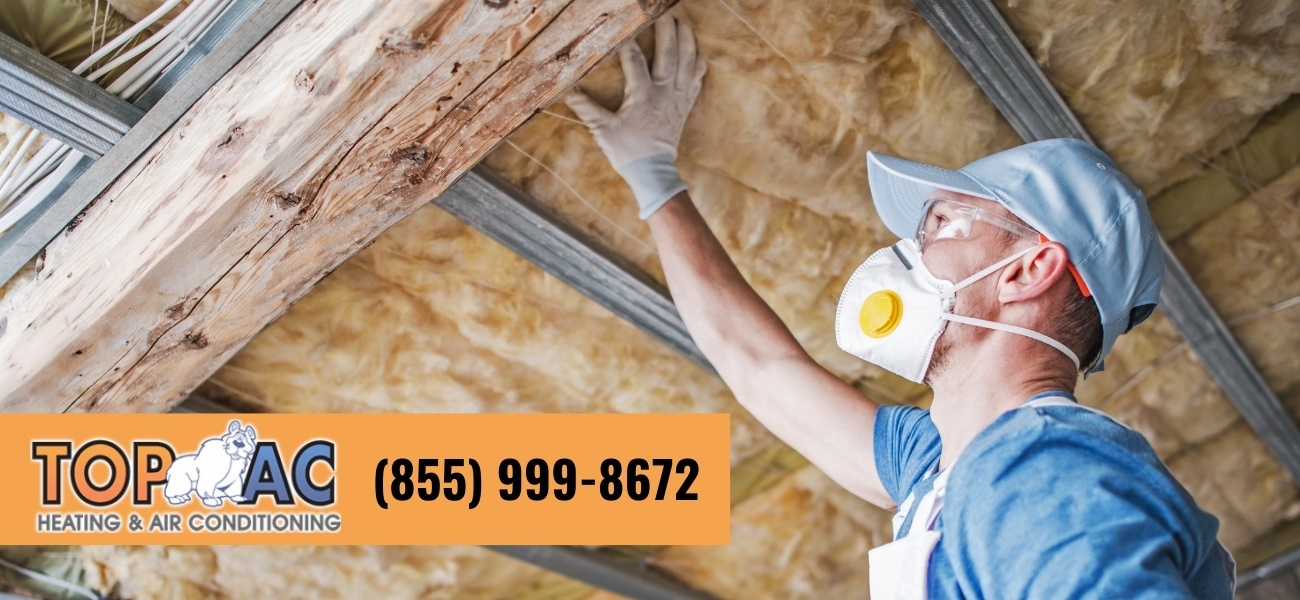 how-to-become-a-spray-foam-insulation-contractor.jpg